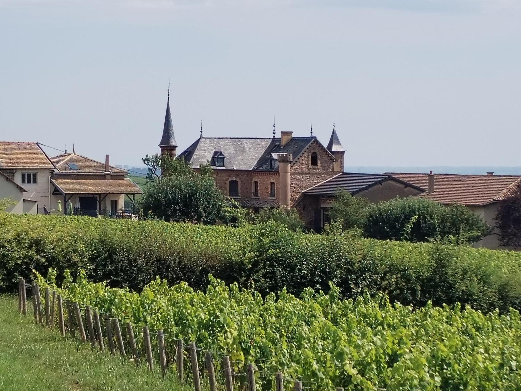 Le Petit Chateau De Sathonat - Horizon Paradis Saint-Amour-Bellevue Exteriör bild